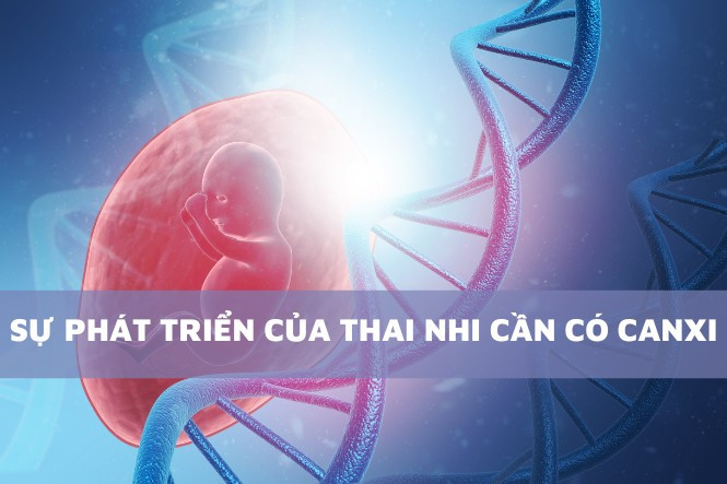 Bổ sung canxi từ đầu thai kỳ giúp bé phát triển tốt