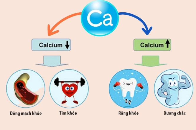 Cách bổ sung canxi hữu cơ cho người lớn để có một hệ xương chắc khỏe