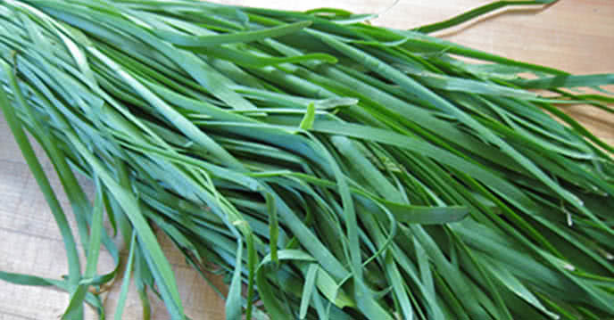 Mẹ đọc câu thần chú khi khua lá giá vào lợi bé