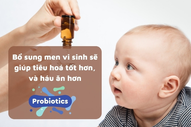 Men vi sinh hỗ trợ hệ tiêu hóa khỏe mạnh