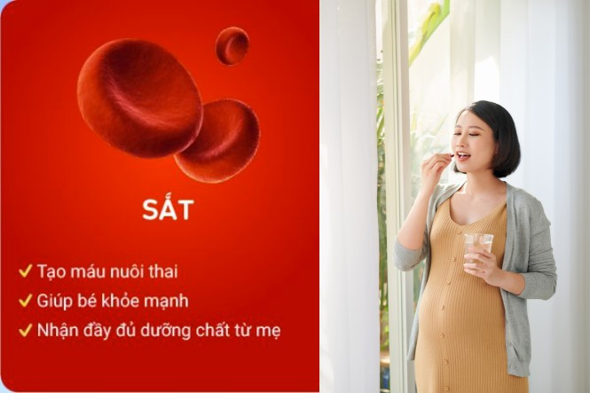 3 tháng đầu nên bổ sung thuốc gì? Combo dưỡng chất cho bé phát triển tốt